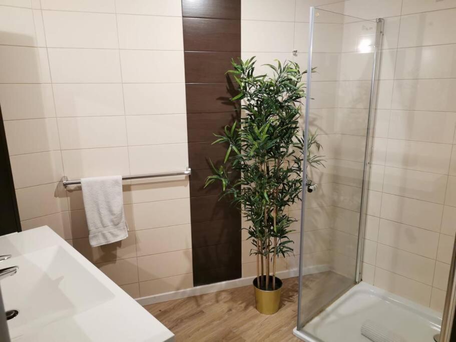 Appartement Large 2 Bedrooms Flat With Free Parking & Terrace *